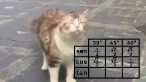 Matemática